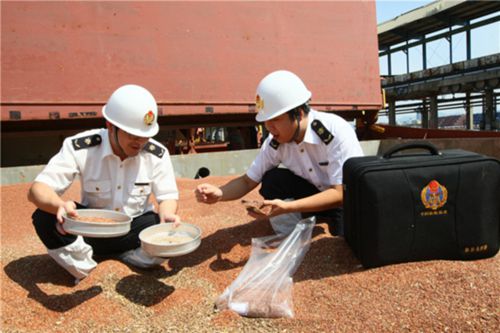 進出口糧食檢疫嚴把控 新辦法7月份正式執行