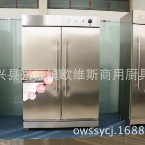 商用高溫餐具消毒柜 奶吧用不銹鋼熱風循環(huán)消毒柜 奶瓶消毒柜