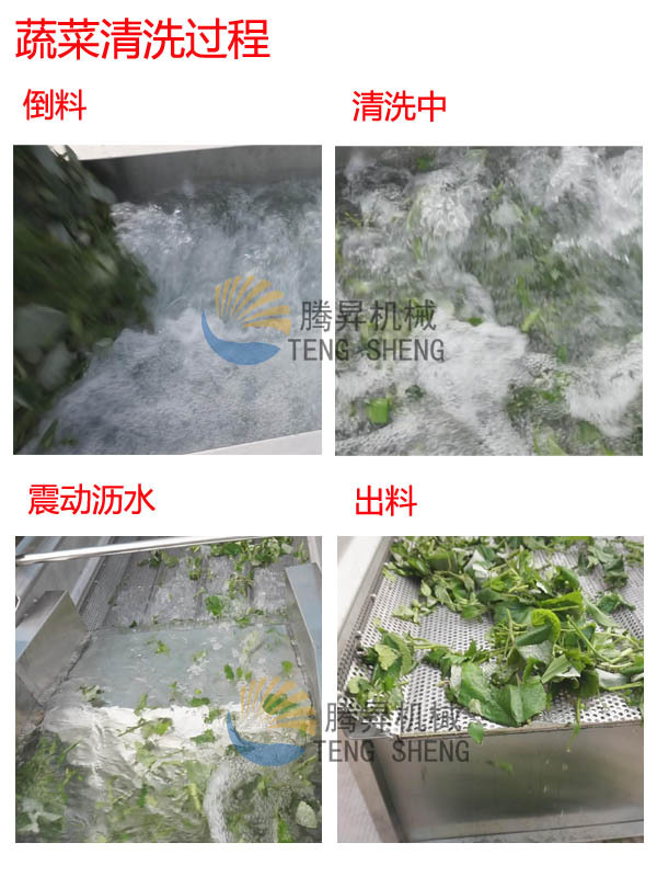 洗菜機(jī) 商用渦流洗菜機(jī) 震動(dòng)瀝水生產(chǎn)線 蔬菜清洗機(jī) 廠家直銷