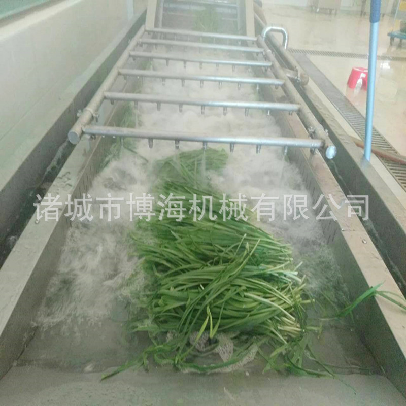 廠家定做商用蔬菜清洗機 大型氣泡洗菜機 酸菜清洗脫鹽機 博海牌*