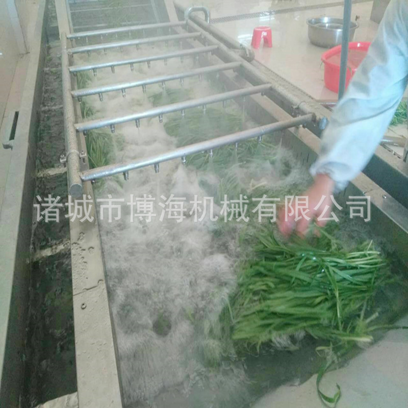 廠家定做商用蔬菜清洗機 大型氣泡洗菜機 酸菜清洗脫鹽機 博海牌*