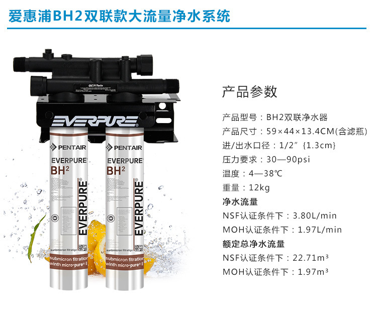 美國進口愛惠浦（Everpure）BH2 雙聯凈水器 過濾系統 商用