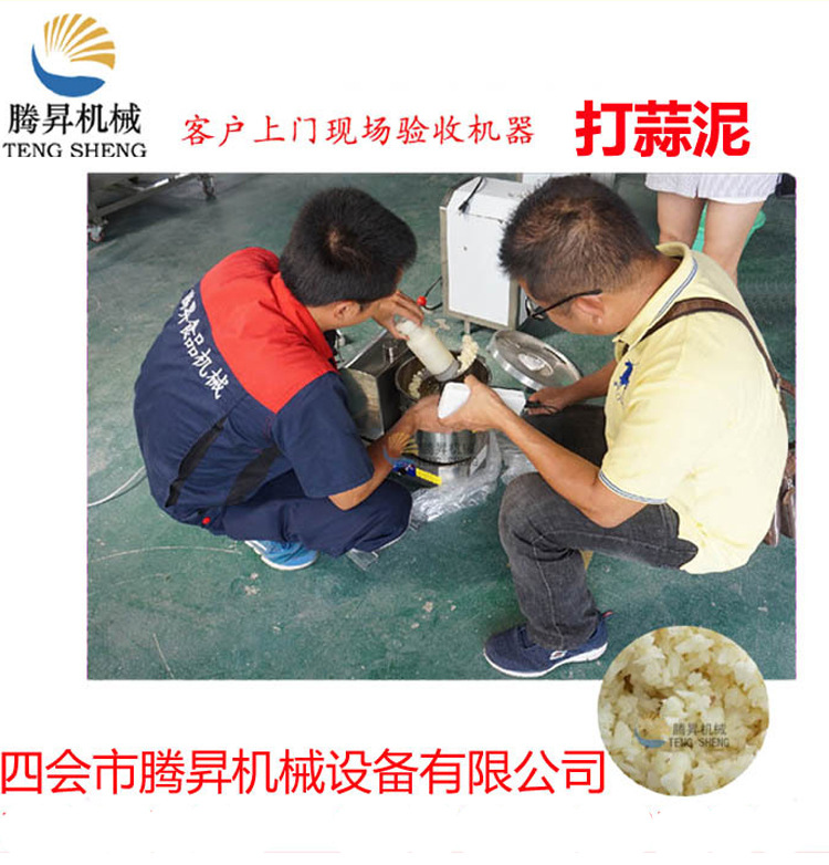 供應(yīng) 小型臺式多功能切碎機 商用電動食物切碎機 打碎機