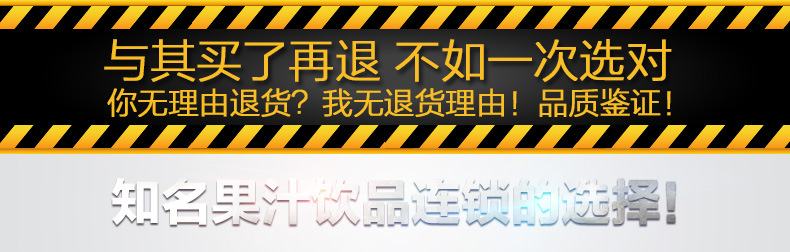 SAVTM/獅威特商用大口徑多功能榨汁機 攪拌果汁機低速原汁機批發(fā)