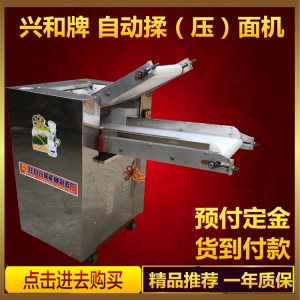 商用型全自動揉面機350/500型揉面機 不銹鋼壓面機 創(chuàng)業(yè)設備