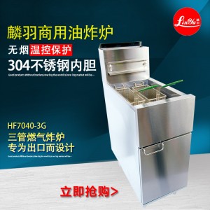 華菱電炸爐油炸爐 油炸鍋炸薯條機炸鍋商用燃?xì)庹t