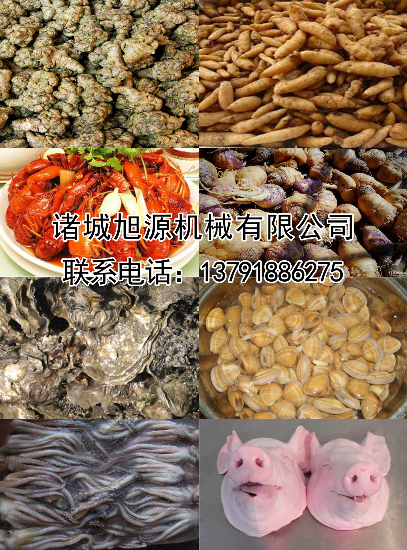 全自動(dòng)香腸臘腸煙熏爐 不銹鋼肉食煙熏爐 商用節(jié)能燒雞煙熏爐