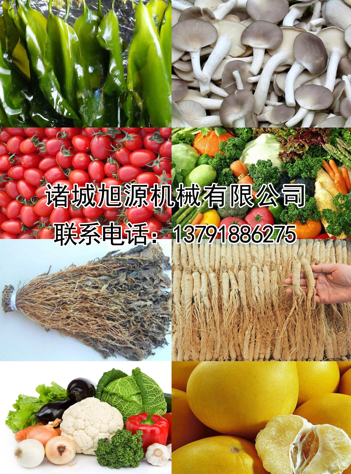 全自動(dòng)香腸臘腸煙熏爐 不銹鋼肉食煙熏爐 商用節(jié)能燒雞煙熏爐