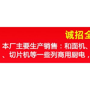 英潤和面機(jī)商用25公斤15公斤12.5公斤50斤 家用全自動揉面攪拌機(jī)