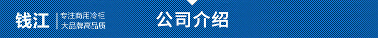 錢江雙門家用小型廚房冰柜 商用不銹鋼單溫冰箱 節(jié)能立式冷柜