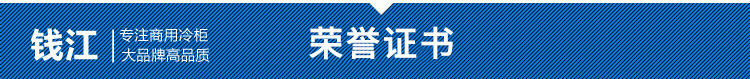 錢江雙門家用小型廚房冰柜 商用不銹鋼單溫冰箱 節(jié)能立式冷柜