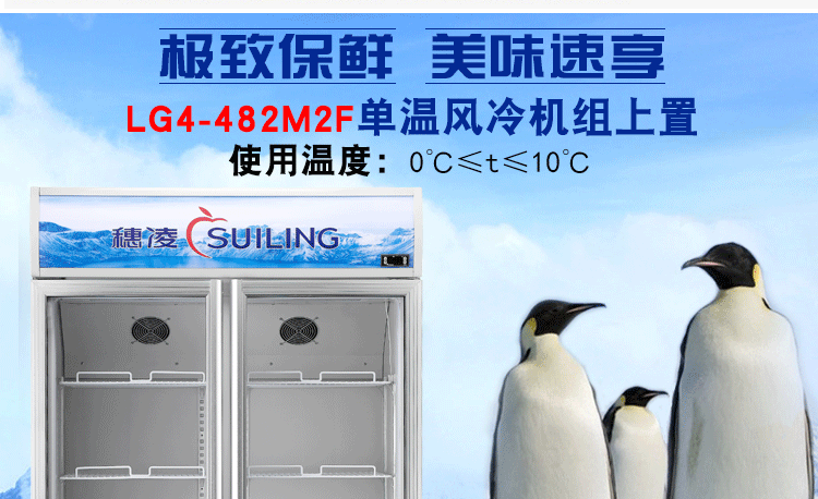 穗凌LG4-482M2F 展示冰柜商用雙門立式風冷冷藏保鮮柜玻璃飲料柜