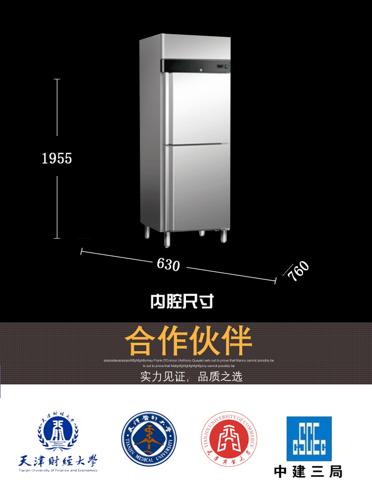 雙門冷凍柜 宏泰 中溫雙門冷凍柜1ZL2 冷凍冷藏商用冰柜雙門冰柜