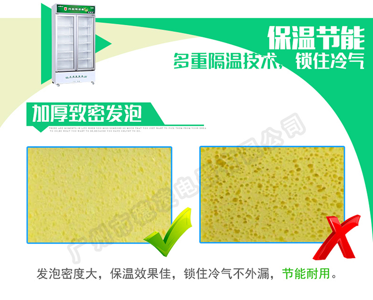 穗凌SL-900雙門(mén)立式陰涼冷柜單溫冷藏冰柜 商用展示柜 冷藏柜