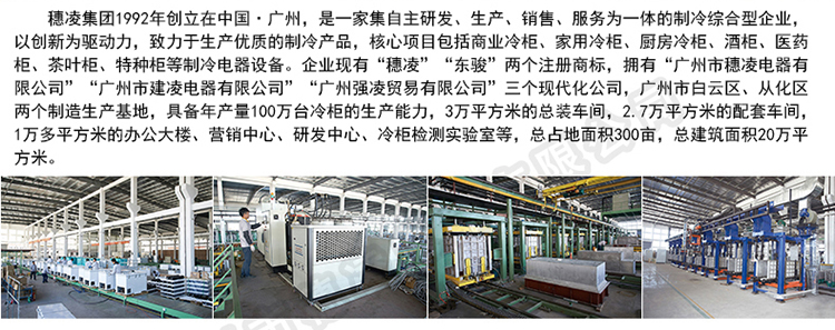 穗凌SL-900雙門(mén)立式陰涼冷柜單溫冷藏冰柜 商用展示柜 冷藏柜