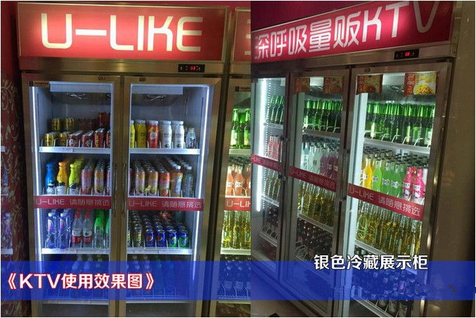 廠家直銷冰柜批發(fā) 立式雙門商用冰箱便利店展示柜超市飲料陳列柜