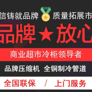 冰柜商用臥式冷藏冷凍單溫雙門頂開家用大冷柜大容量全銅管節能