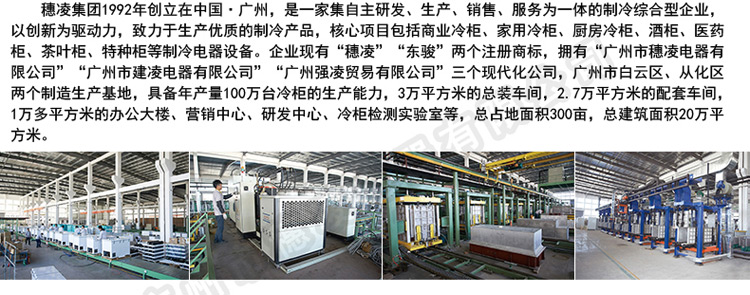 穗凌 WG4-165水柜冷柜飲料柜臥式冰柜單溫冷柜大排檔燒烤啤酒飲料