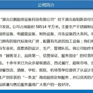 商用不銹鋼雙門高身冷凍柜 臥式廚房冷柜 可批發(fā)訂制 廠家直銷