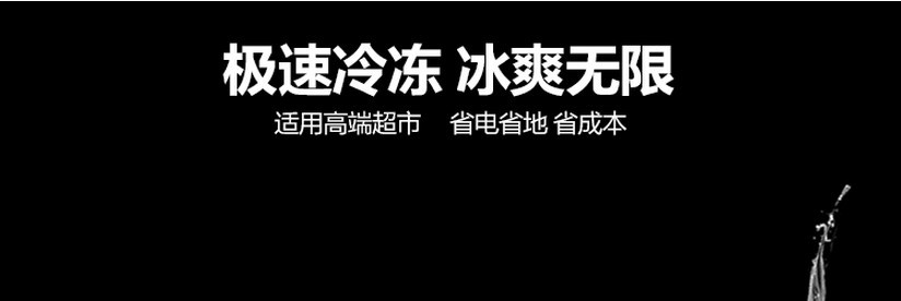 廠家直銷(xiāo)冰柜立式五門(mén)冷藏陳列柜 飲料展示冰箱 超市便利店保鮮柜