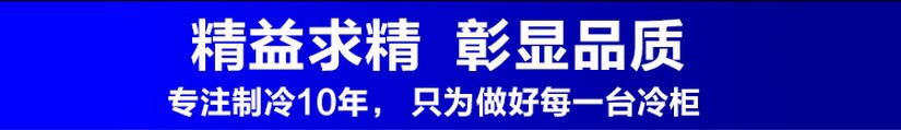 廠家直銷(xiāo)冰柜立式五門(mén)冷藏陳列柜 飲料展示冰箱 超市便利店保鮮柜