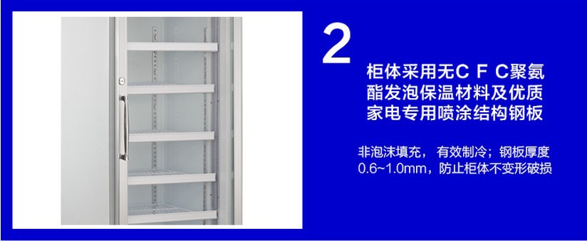 廠家直銷(xiāo)冰柜立式五門(mén)冷藏陳列柜 飲料展示冰箱 超市便利店保鮮柜