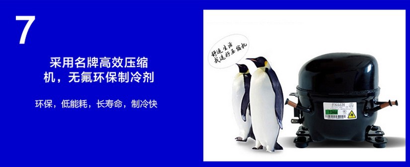 廠家直銷(xiāo)冰柜立式五門(mén)冷藏陳列柜 飲料展示冰箱 超市便利店保鮮柜