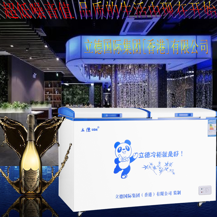 盛寶BD/BC-618臥式單溫冷凍冷藏冰柜超市雪糕商用展示柜家用冷柜