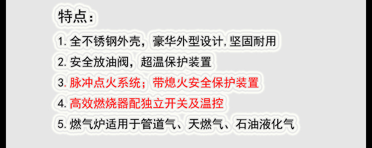 油炸設備燃氣炸爐 大容量商用立式控溫油炸鍋 煤氣炸雞排油炸機