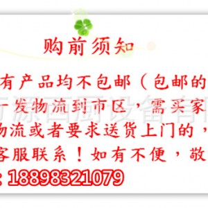 立式燃氣四頭煲仔爐連氣焗爐 商用 GH-987A四眼爐多功能 質(zhì)量保證