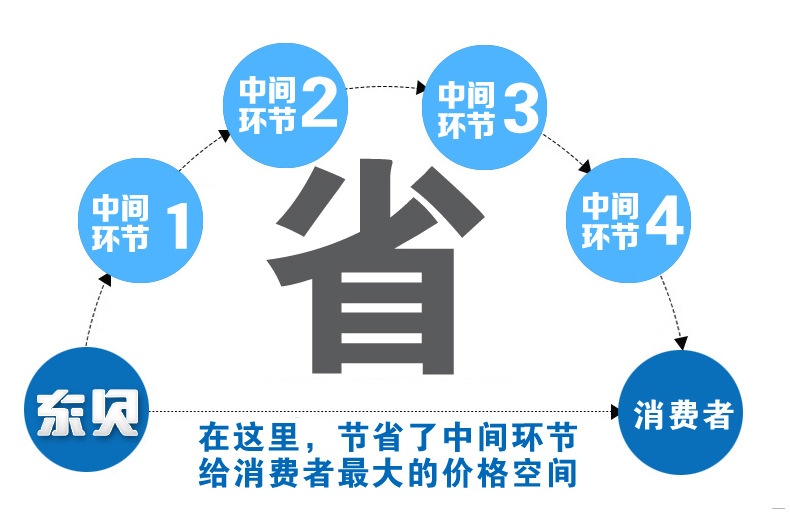 供應東貝ZX40A冰棍機 商用水果雪糕機意大利卡通冰棒機創(chuàng)業(yè)設備