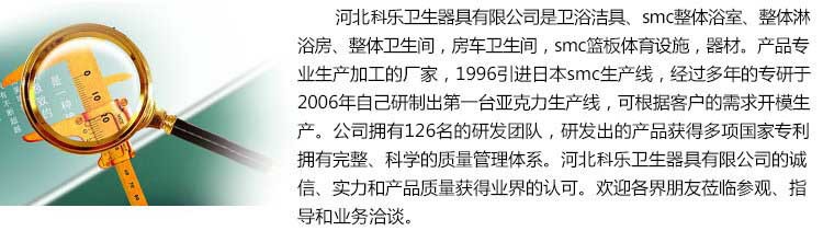 農家樂淋浴房 整體衛生間 整體浴室隔斷洗手間賓館酒店專業衛生間