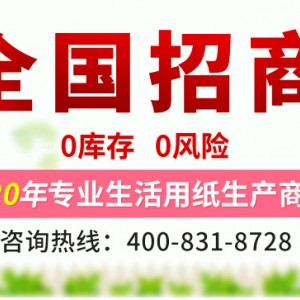 原生木漿衛生紙廠家批發 生活用紙卷紙 廁所卷紙 大卷紙